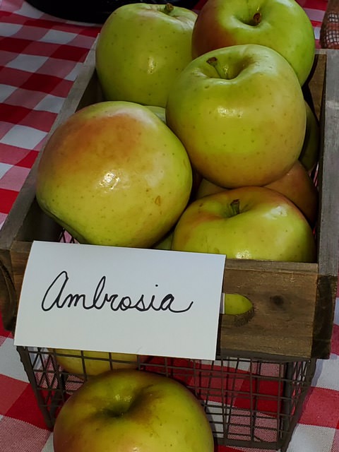 An apple a day